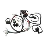 ATV Wiring Harness Electrics Stator Coil 150CC-250CC