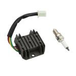 ATV Wiring Harness Electrics Stator Coil 150CC-250CC