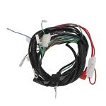 ATV Wiring Harness Kit for 50cc-125cc Bikes