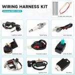 ATV Complete Wiring Harness Kit for 4 Stroke