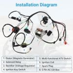 Wiring Harness Kit for TaoTao Coolster ATVs