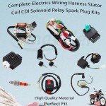 Amavoler Stator Coil CDI Wiring Harness Kit
