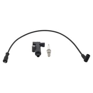 DriveFix Ignition Coil Wire Cap and Spark Plug Set