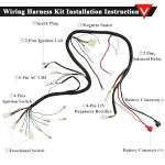 PRO BAT Complete Electrics 4 Stroke Wiring Harness Kit 8 Coil CDI Stator Tail Light for 150cc 200cc 250cc 300cc 4 Wheelers Stroke ATV Go Kart Quad Pit Dirt Bike Compatible with Zongshen Lifan YX