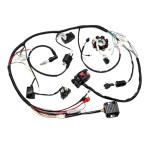 PRO BAT Full Electric Wiring Harness Wire Loom CDI Coil 8 Pole Stator Assembly For 4 Wheelers Stroke ATV Quad Pit Dirt Bike Buggy Go Kart 150cc 200cc 250cc 300cc Compatible with Zongshen Lifan YX