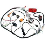 PRO BAT Complete Electrics 4 Stroke Wiring Harness Kit 8 Coil CDI Stator Tail Light for 150cc 200cc 250cc 300cc 4 Wheelers Stroke ATV Go Kart Quad Pit Dirt Bike Compatible with Zongshen Lifan YX