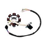 PRO BAT Full Electric Wiring Harness Wire Loom CDI Coil 8 Pole Stator Assembly For 4 Wheelers Stroke ATV Quad Pit Dirt Bike Buggy Go Kart 150cc 200cc 250cc 300cc Compatible with Zongshen Lifan YX