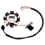 PRO BAT Complete Electrics 4 Stroke Wiring Harness Kit 8 Coil CDI Stator Tail Light for 150cc 200cc 250cc 300cc 4 Wheelers Stroke ATV Go Kart Quad Pit Dirt Bike Compatible with Zongshen Lifan YX