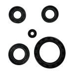 RedCap Oil Seal Set for ATV and Dirt Bikes