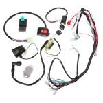 ATV Wiring Harness Kit with CDI Ignition Coil