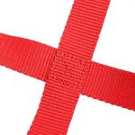 Honda 400EX 400X Aluminum Nerf Bars with Red Nets