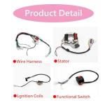Wiring Harness and CDI for 50cc-125cc ATVs