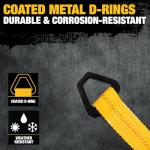 DEWALT Premium 2" x 38" Tie Down Strap Kit