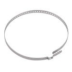 Stainless Steel Universal Adjustable AXLE CV Joint Boot Crimp Clamp Kit,24PCS(12pcs Small+ 12pcs Large)