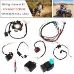 Windance 9PCS 6-Coil CDI Kit for ATVs & Bikes