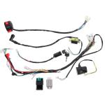 Hoodanco's Complete ATV Wire Harness and Ignition Coil