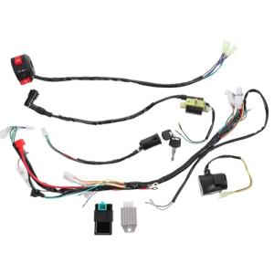 ATV Wiring Harness Set with CDI Ignition Coil