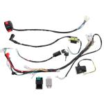 ATV Wiring Harness Set with CDI Ignition Coil