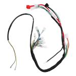 ATV Wiring Harness Coil Kit for Small Bikes