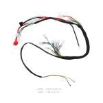 ATV Wiring Harness Coil Kit for Small Bikes