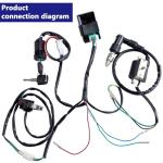 ATV Wiring Loom Kill Switch and CDI Kit