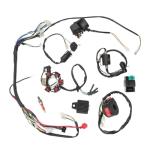 Complete Wiring Harness for ATV and Motorcycle
