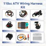 Wiring Harness Kit for TaoTao Coolster ATV