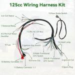 XIKOBY 110cc ATV Wiring Harness Kit for Quad