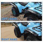 HECASA 4-Piece Mud Guards Kit for Honda TRX300