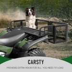 Detachable Steel ATV Rear Cargo Basket Rack