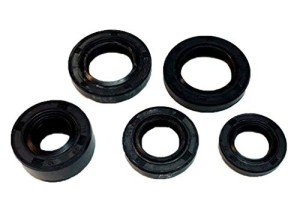 5 Piece Engine Oil Seal Kit for ATVs