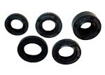 5 Piece Engine Oil Seal Kit for ATVs