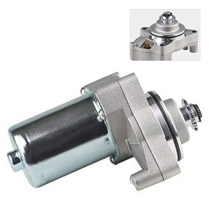 Waterwich Starter for Tao Tao ATVs and Bikes
