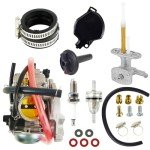 Kawasaki Prairie 360 Carburetor and Fuel Valve Set