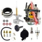 Kawasaki Prairie 360 Carburetor and Fuel Valve Set