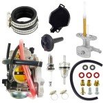 Kawasaki Prairie 360 Carburetor and Fuel Valve Set