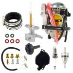 Kawasaki Prairie 360 Carburetor and Fuel Valve Set
