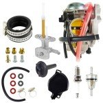 Kawasaki Prairie 360 Carburetor and Fuel Valve Set