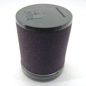 Kawasaki Prairie 360 4X4 Air Filter Element
