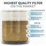 HammerHead Showers® Chrome Metal Shower Head Filter