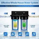 iSpring WGB21B-KS Whole House Water Filter System