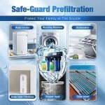iSpring WGB21B-KS Whole House Water Filter System