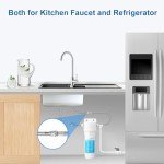 Under Sink Water Filter System for Clean Drinking Water