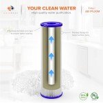 20 Micron Pleated Water Filter Cartridge 10"x2.5