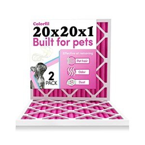 Colorfil MERV 8 Air Filters for Pets - 2 Pack