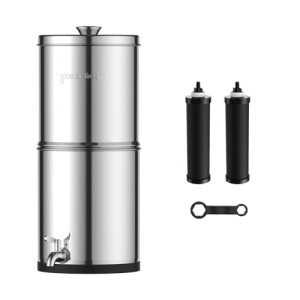 GLACIER FRESH Gravity-fed Water Filter System, Stainless Steel 2.25G Gravity Water Filter with 2 Black Carbon Filters and Metal Spigot, for Home, Camping, and RVing