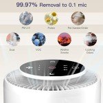 Aircillin AP070 Replacement Filters - 2 Pack