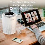 Aircillin AP070 Replacement Filters - 2 Pack