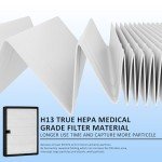 WOCASE 2-Pack H13 HEPA Filter for Lunino E-200