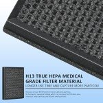 WOCASE 2-Pack H13 HEPA Filter for Lunino E-200